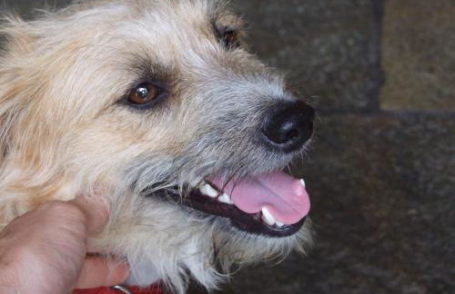 Agriturismo Ca' del Lago - Photo 149