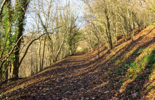 The Old Museum - Foto 10