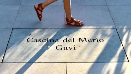 Cascina Del Merlo - Foto 3