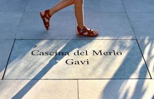 Cascina Del Merlo - Foto 3