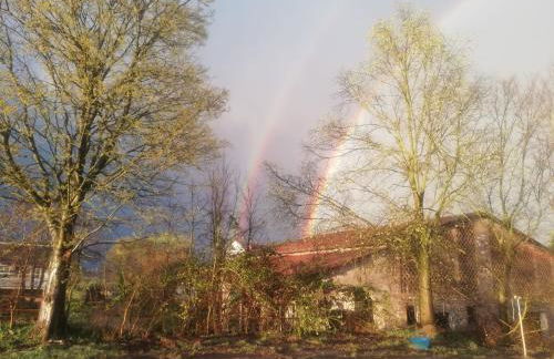 Agriturismo con Cucina tipica Nuova Scardua - Foto 64