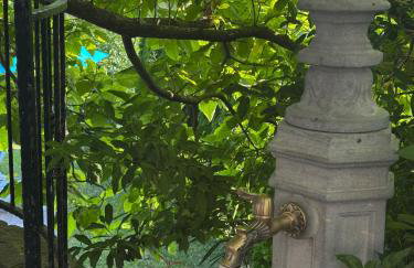 Villa Viera - Photo 33