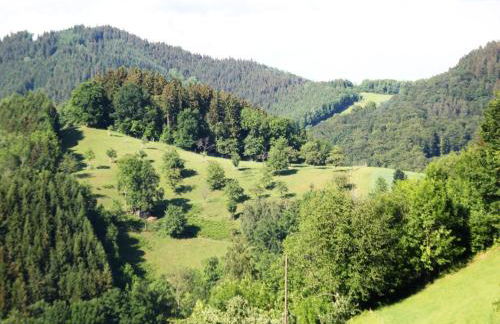 Cosy farmhouse apartment at the edge of the forest - Foto 9