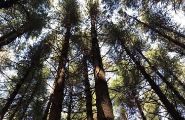 Casa di Giose con garage - Foto 18