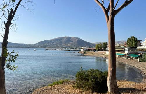 Athens Palaia Fokaia Entire Flat 2 bedrooms with panoramic sea views and a massive veranda , only steps away from the beach and amenities - Foto 12