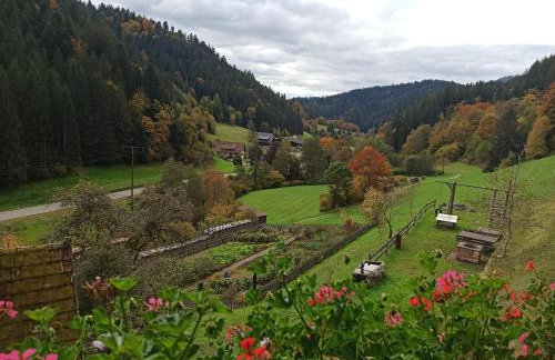 Ferienwohnungen Vogt's Libding - Photo 57