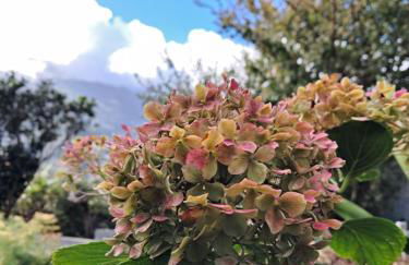 Northern Air House - Foto 47