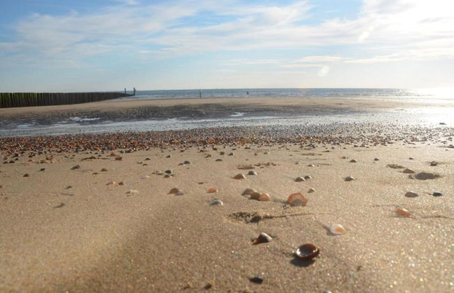 Sunny Zeeland Getaway - Photo 16