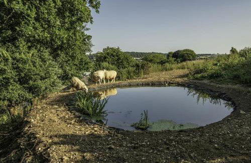 Valley View Farm Annexe - Foto 14