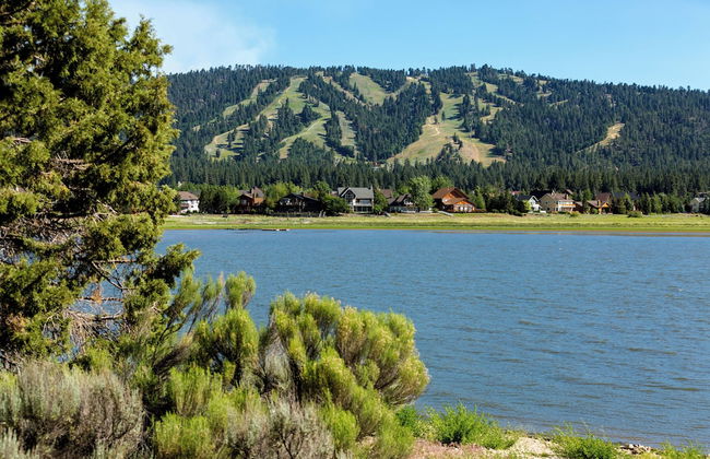 Heavenly Bear #2362 - Foto 25