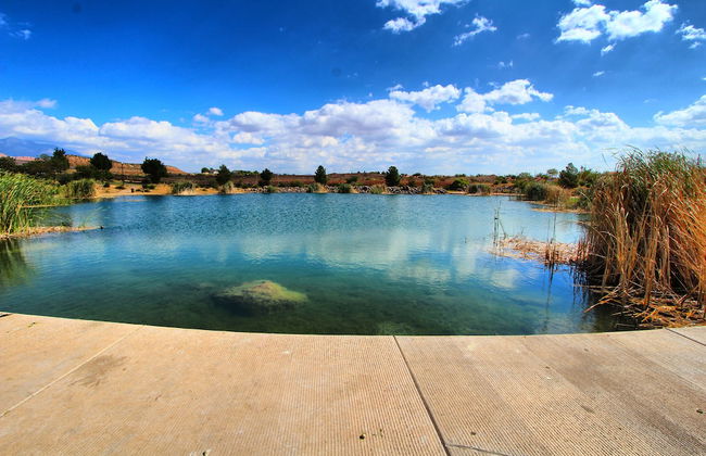 Canyon Villas at Coral Ridge - Foto 23