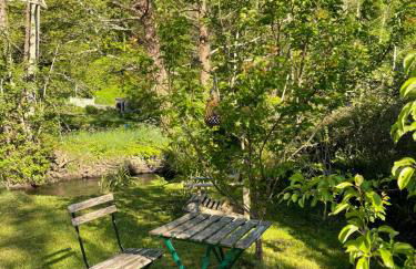 La maison bleue - Photo 42