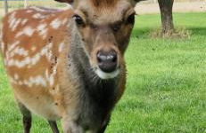 Gutshaus Pinnow - Foto 40