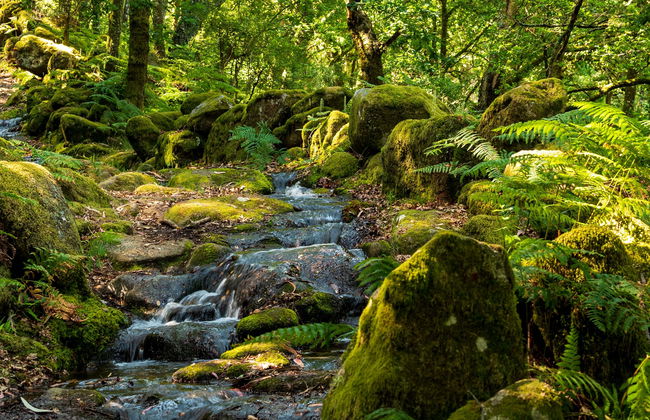 Peneda-Gerês National Park Canyoning - Foto 1