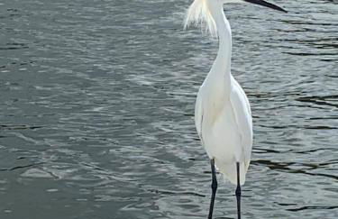 Pirates Pointe Resort - Foto 20