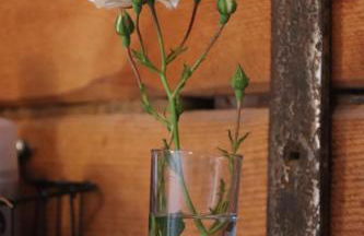 Liljas Haus im Spreewald - Foto 65