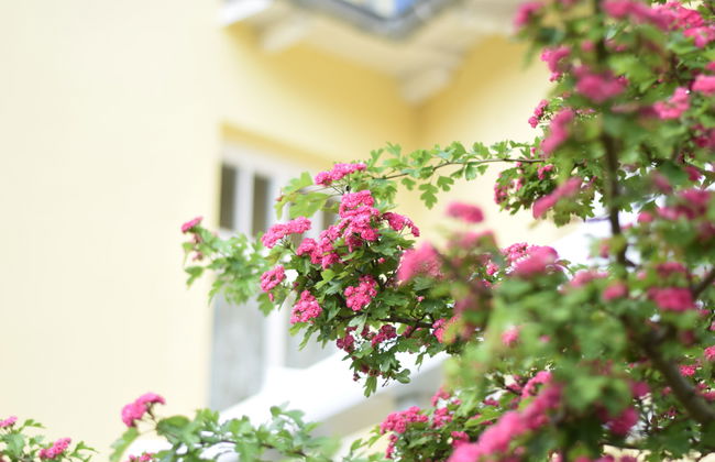 Stolzenfels - Foto 26