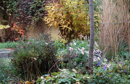 Pension zum Hirschstein - Photo 55