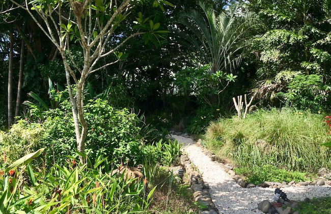 Royal Palm Villas - Foto 32