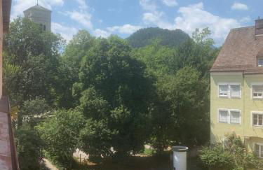 Silberwurz - Foto 11