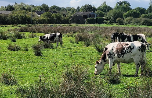 Entre Ciel et Marais - Foto 41