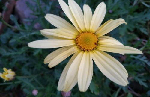 A Casa dos Avós - Alojamento Local - Foto 56