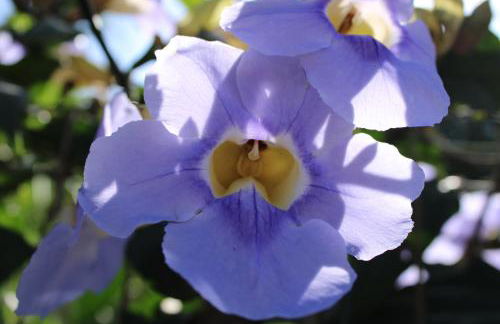 Rosatrip Surf Bungalows - Foto 13