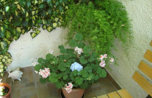 Studio Apartment Lile - Foto 13