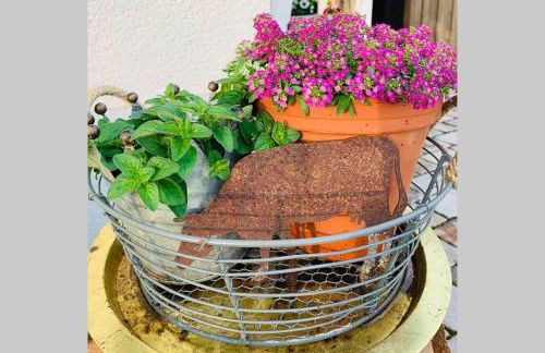 Irenes Tinyhouse - Foto 32