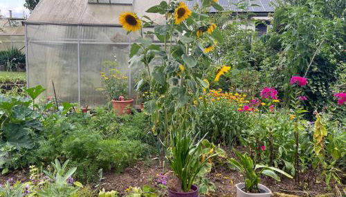 Ferienwohnung Dörfler - Foto 5, Garden