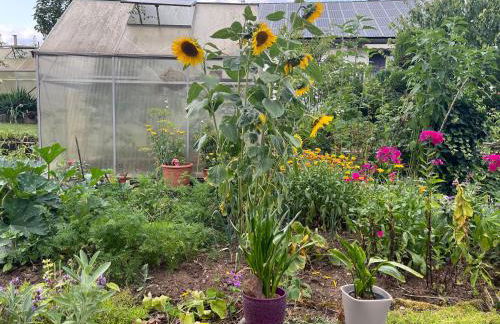 Ferienwohnung Dörfler - Foto 5