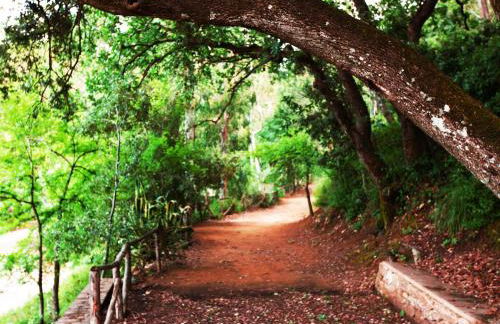 Torre di Renda - Foto 92