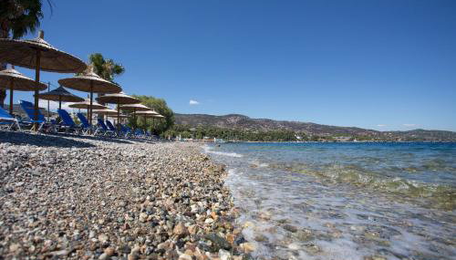 Seaside Studios - Foto 3