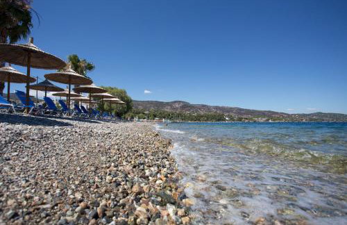 Seaside Studios - Foto 3