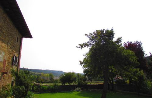 Txantxorena - Foto 16