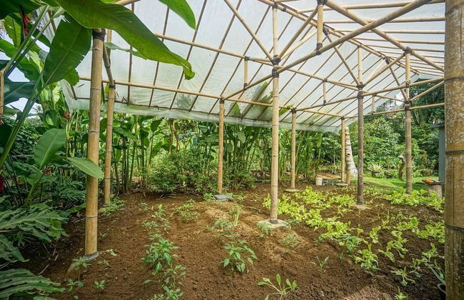 Villa Tirta Indah - Foto 40