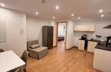 Modern Apartment, nähe, Bodensee und Alb - Foto 4