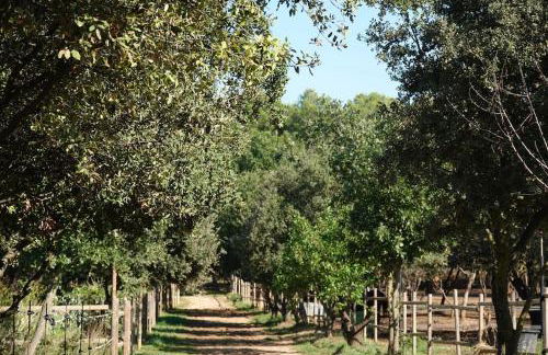 Coin de paradis en Provence - Foto 26