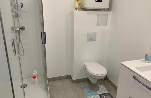 Room in Toulouse - T2 Toulouse Saint Martin du Touch - Foto 11