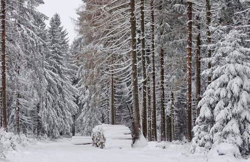 Bungalow Schwarzatalblick in Bad Blankenburg Ortsteil Böhlscheiben - Foto 65