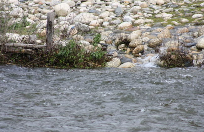 Casa Lagar Da Alagoa - Foto 21