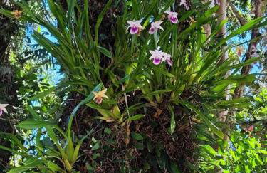 Casa da Vó Hospedagem Afetiva - Foto 38