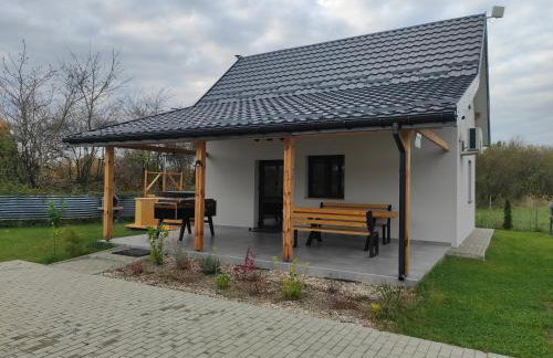 Zatoka Perska - dom Francuz z opcją gorącej banii nad jeziorem Tarnobrzeskim - Foto 17