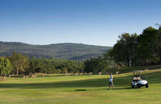 Kruger Park Lodge - Photo 23
