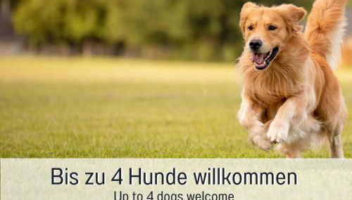 Burghalde: Sauna | Kamin | Garten | eingezäunt - Foto 3