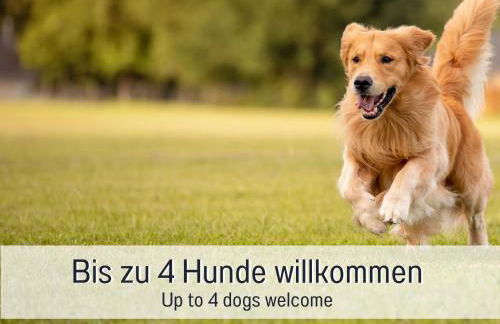 Burghalde: Sauna | Kamin | Garten | eingezäunt - Foto 3