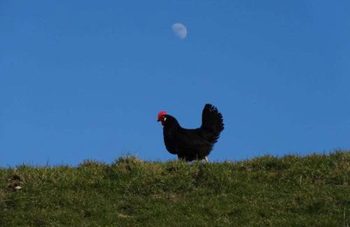 Holiday home with 5 bedrooms - Foto 19