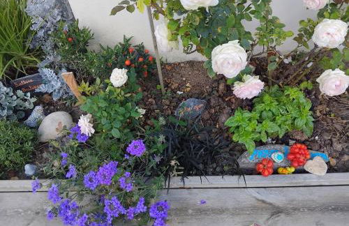 La Salicorne hébergement insolite - Foto 24