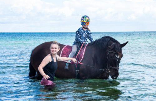 Meislahnhof Fehmarn - Foto 70