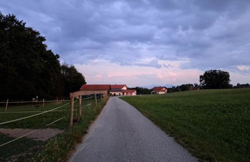 Ferienwohnung z'Dandlberg - Foto 29